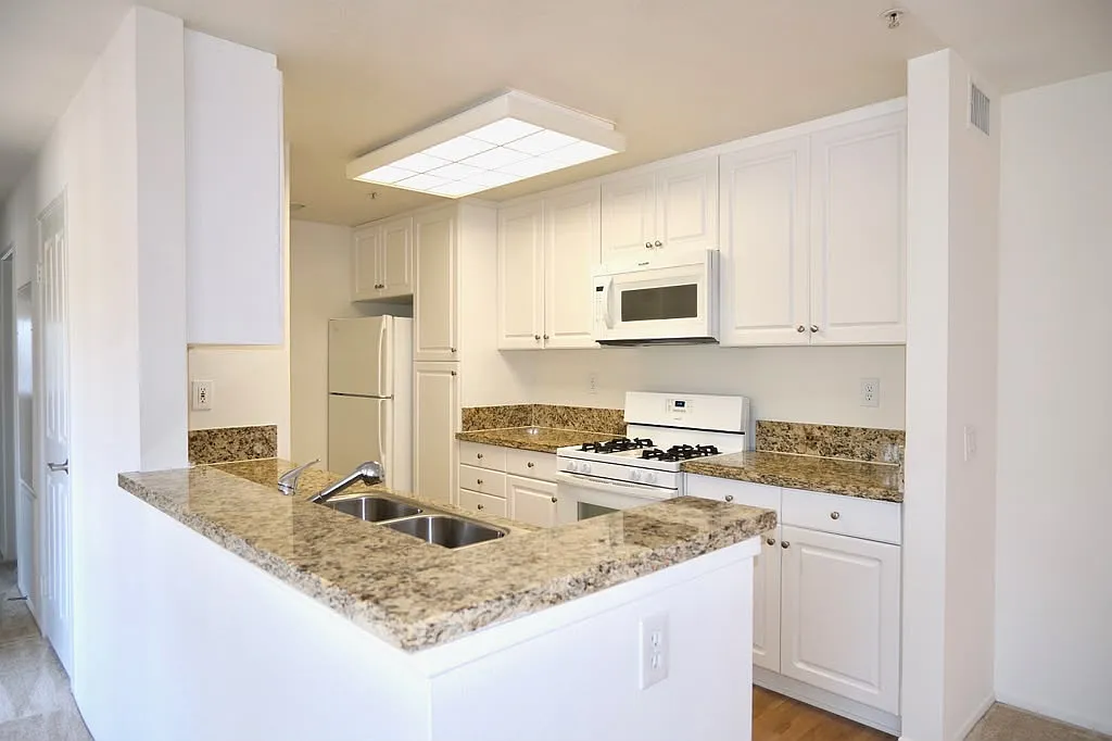 2 bed, 1155 sqft, $3,300 — Photo 2