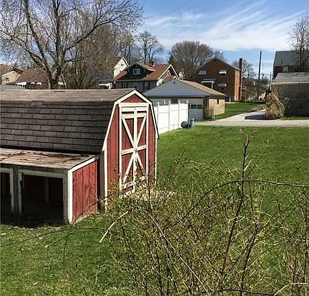 Shed in back yard