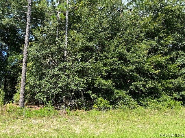 1st image of 8842 N Creek Way