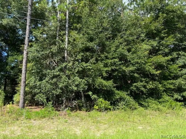 8842 N Creek Way, Citrus Springs, FL 34434