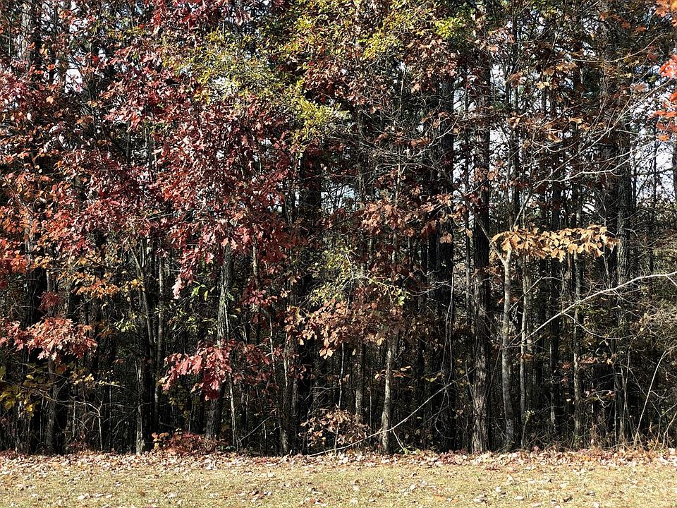 2nd image of 316 Stonebridge Blvd