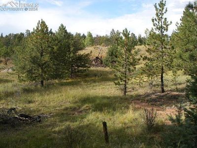 147 Merrywood Ln, Florissant, CO, 80816