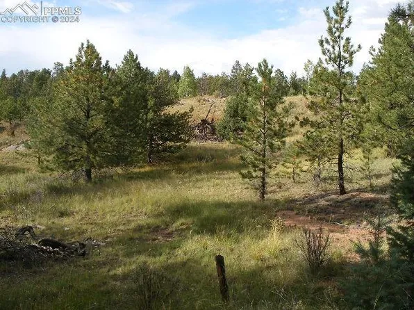 147 Merrywood Ln, Florissant, CO 80816