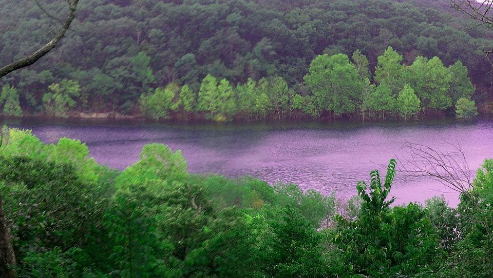 Great lakeview