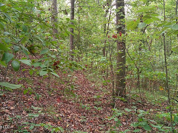 4th image of 414 County Rd