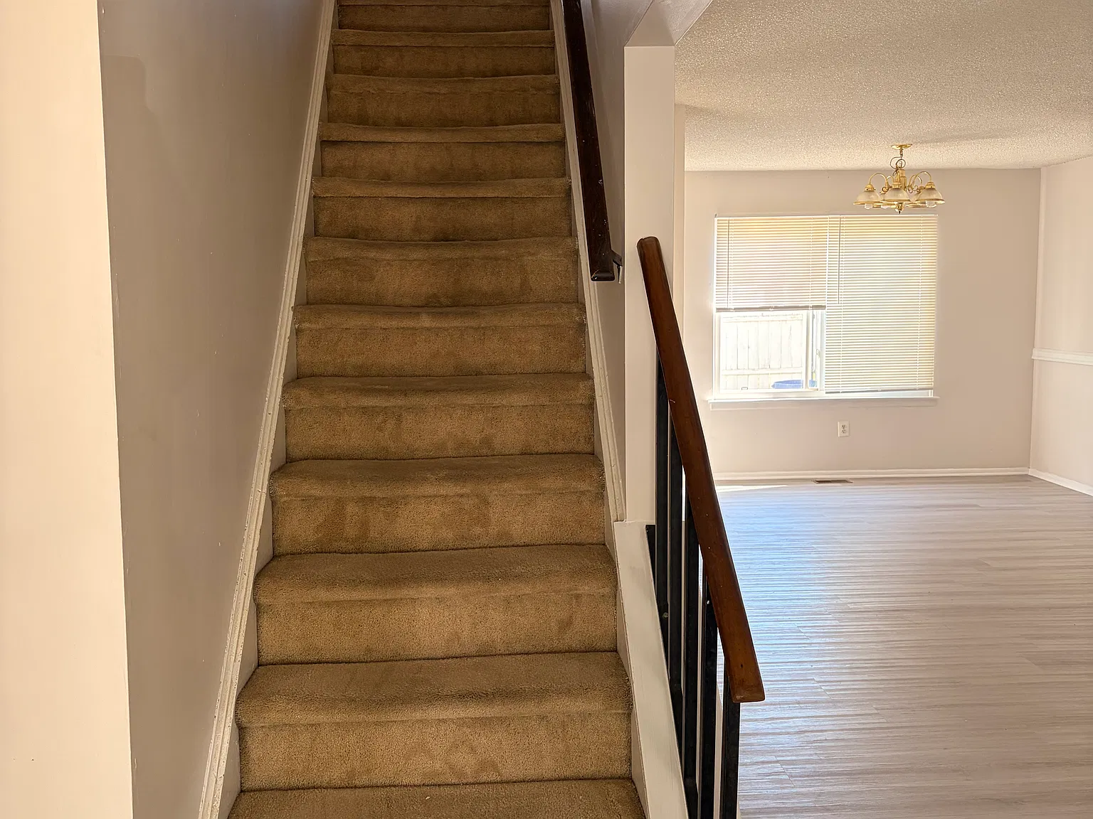 4 bed, 2.5 bath, 1665 sqft, $3,600 — Photo 3