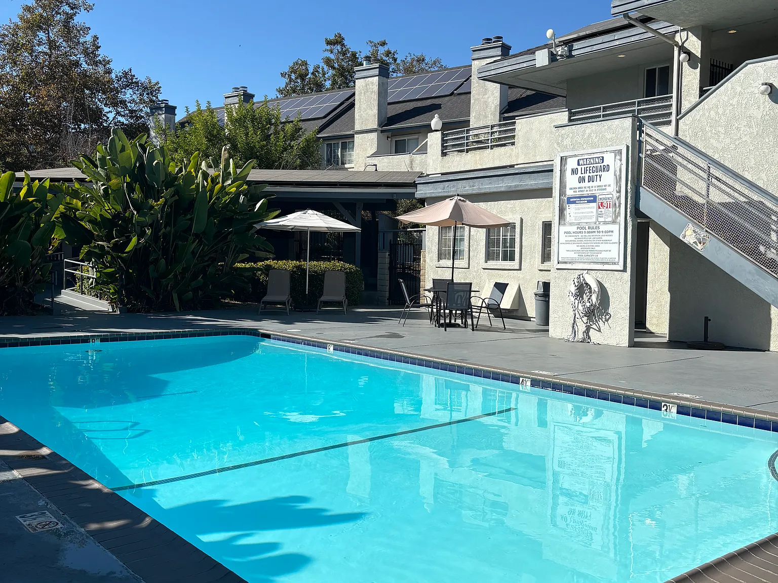 1 bed, $1,950 — Photo 2