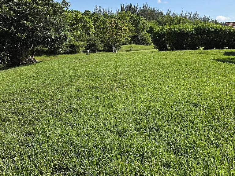 11630 Island Lakes Ln — Photo 29