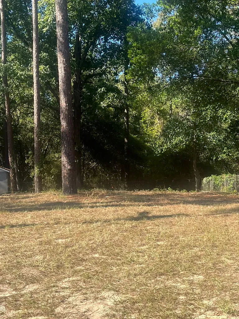 Studio, 700 sqft, $450 — Photo 1