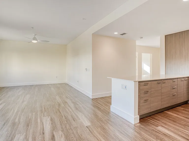 Open-concept kitchens