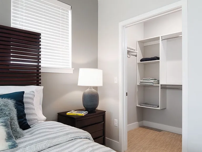 Bedroom with walk-in closet