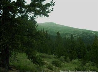 0 Co Road County Road 787, Alma, CO 80420