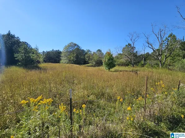 5288 State Highway 27, Springville, AL 35146