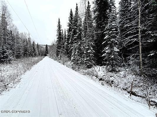 5th image of 0 Chena Hot Springs Rd