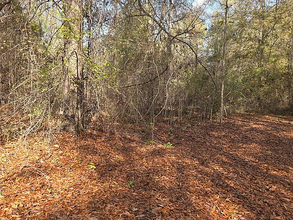 4th image of 6699 County Road 280