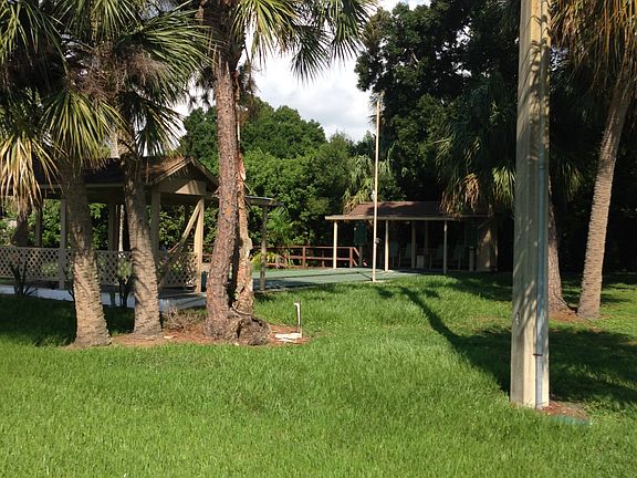 Some of the grounds