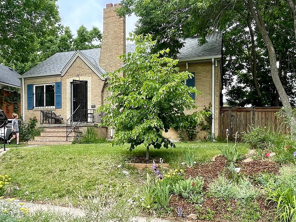 Front yard. Linden tree and perennials.
