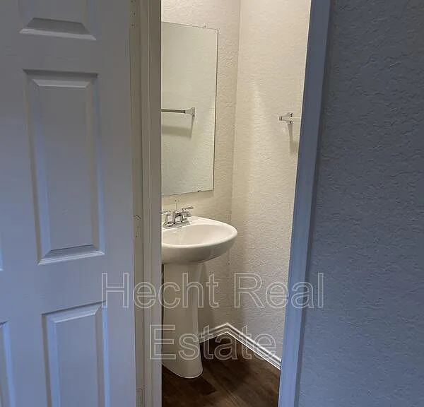 451 Forsythia — Photo 11