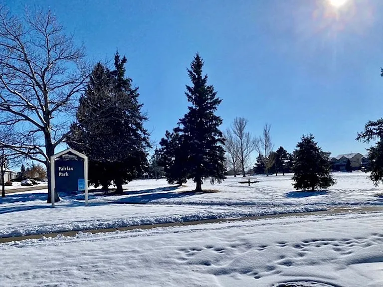8065 Vectra Dr — Photo 59