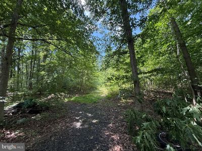 Spesutia Rd, Aberdeen, MD, 21001