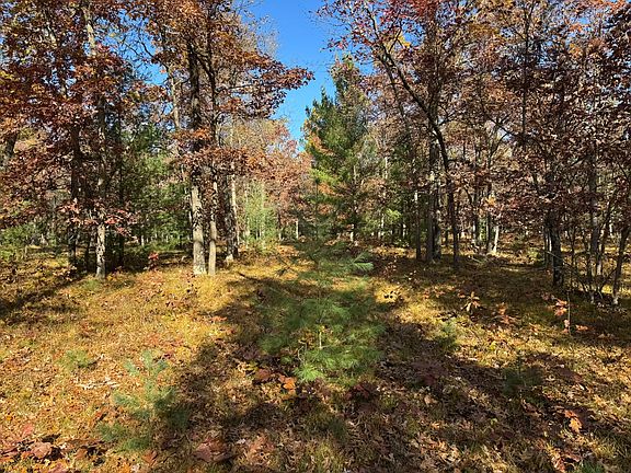 4th image of PARCEL 11 E County Line Rd