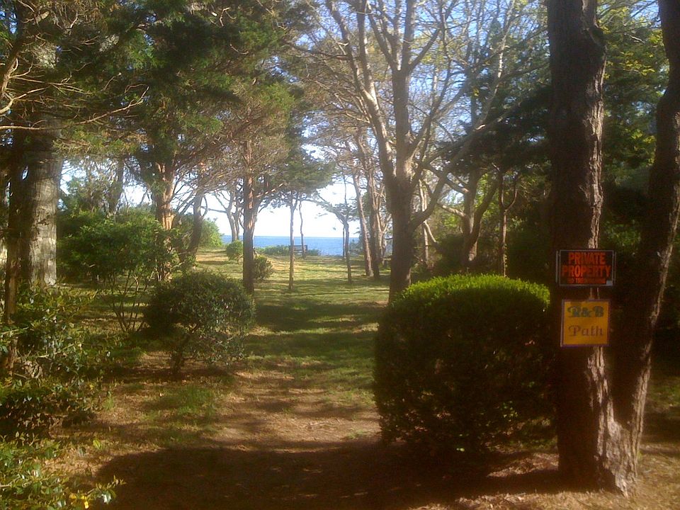 View from porch