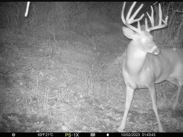 S3481 County Rd P, Fountain City, WI 54629