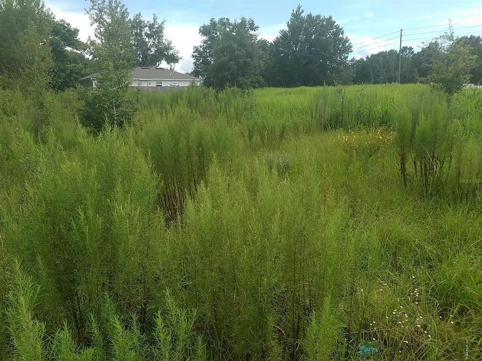2nd image of 8 Dogwood Run