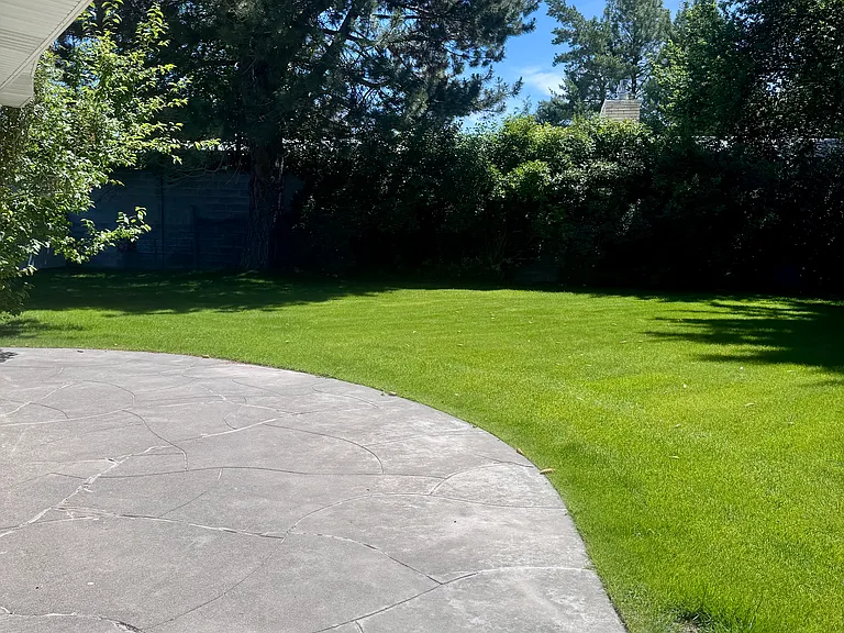 487 Gustafson Dr — Photo 20