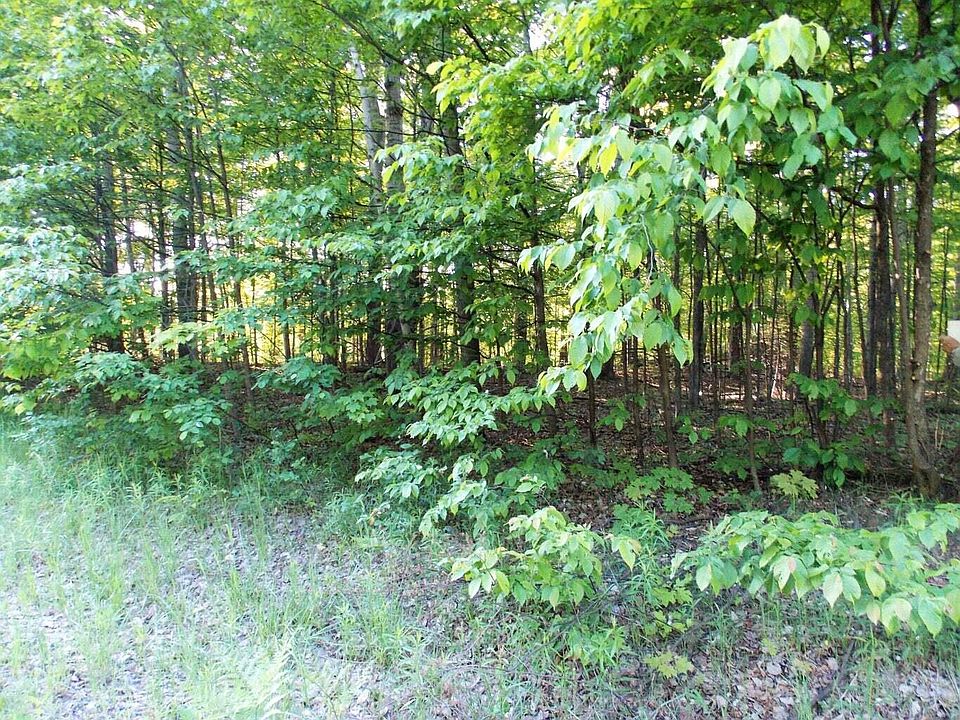 2nd image of 91 Chippewa Trl