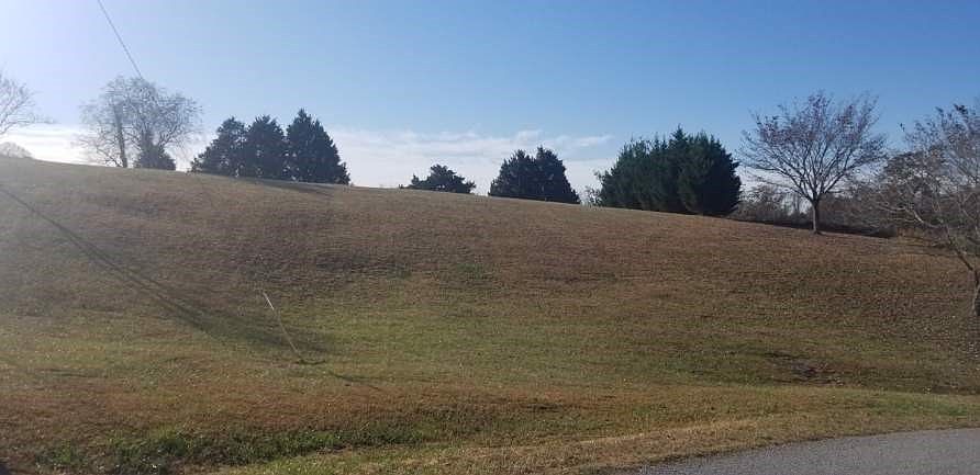2nd image of 3309 Timber View Ln