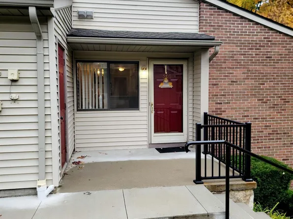 390 Spring Brooke Dr, Brighton, MI 48116