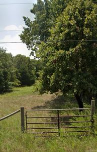(Undisclosed Address), Glencoe, AR, 72539