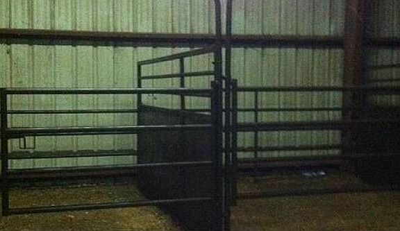 STALLS
