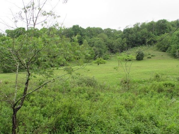 Flat Ridge Rd, Mouth Of Wilson, VA 24363
