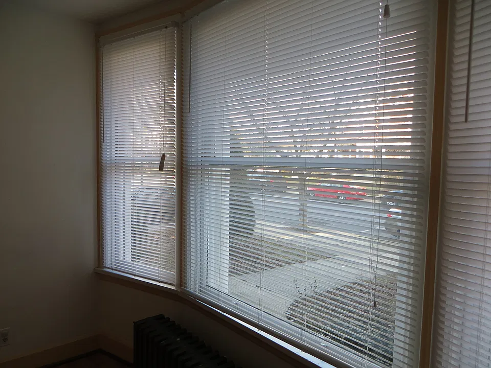 Beautiful windows