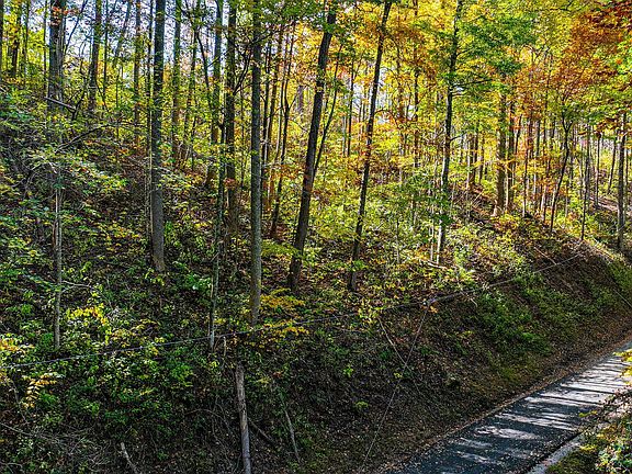 3rd image of Emerald Springs Loop