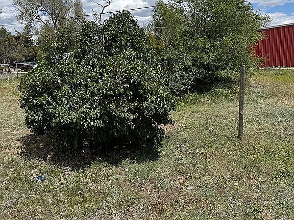 Side yard and extra lot