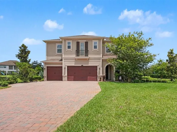 17823 DAISY FARM DRIVE, LUTZ, FL 33559