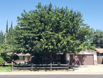 619 Diane Dr, Manteca, CA, 95336