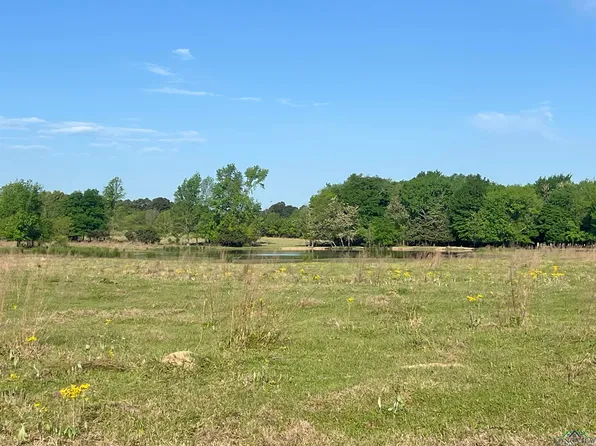 Tbd Fm 1402, Mount Pleasant, TX 75455