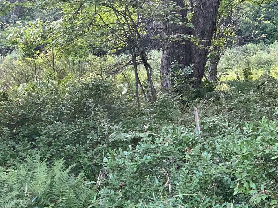 1st image of Blakeslee Ln