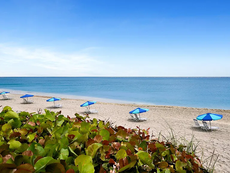 4200 N Ocean Dr #1-806 — Photo 43