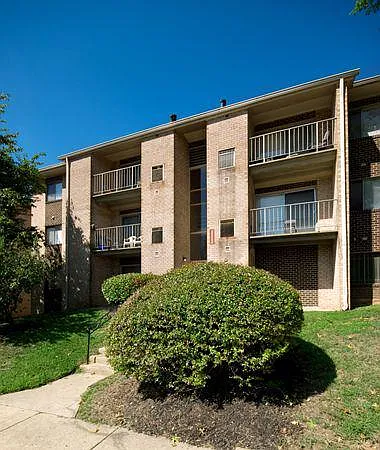 Randle Hill — Photo 13