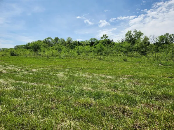 000 River Pass Drive Lot 4 Phase 1, Marshfield, MO 65706