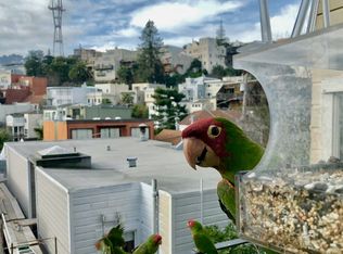 22 Museum Way, San Francisco, CA 94114