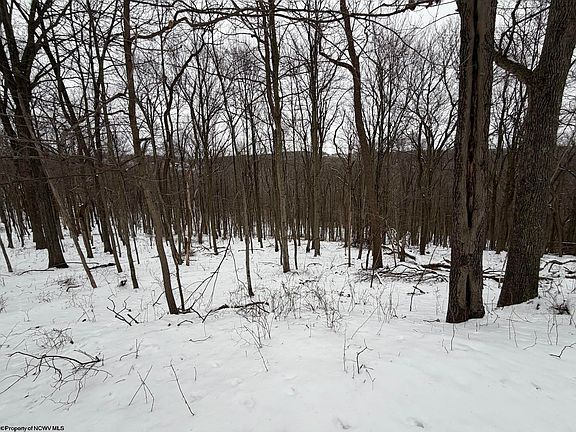 3rd image of 0 Eastwood Ln