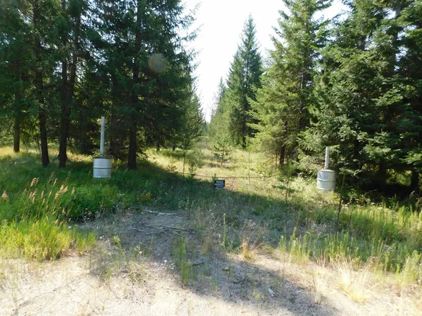 6444 Coyote Trl, Newport, WA 99156