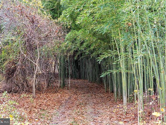 5th image of 4224 Piney Grove Rd