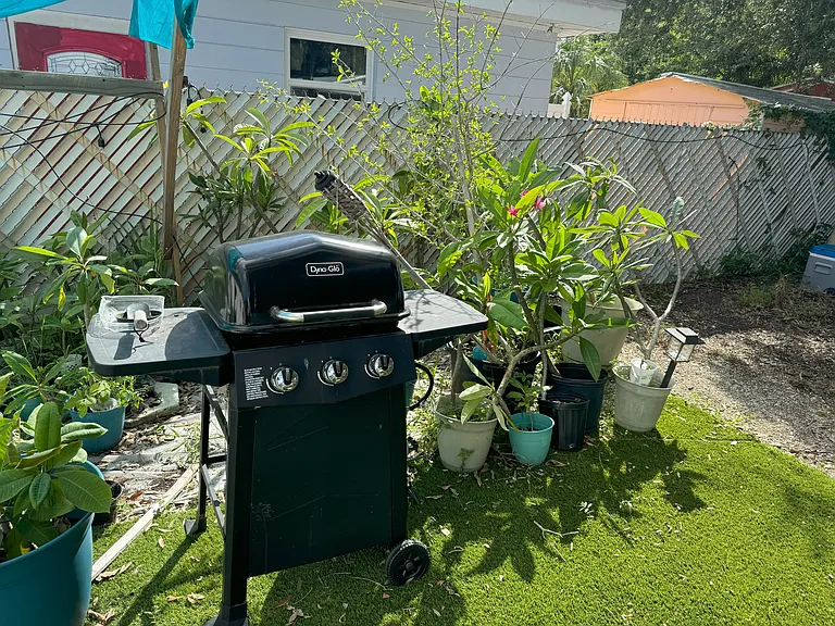 gas grille. (has propane now, you pay for refills)